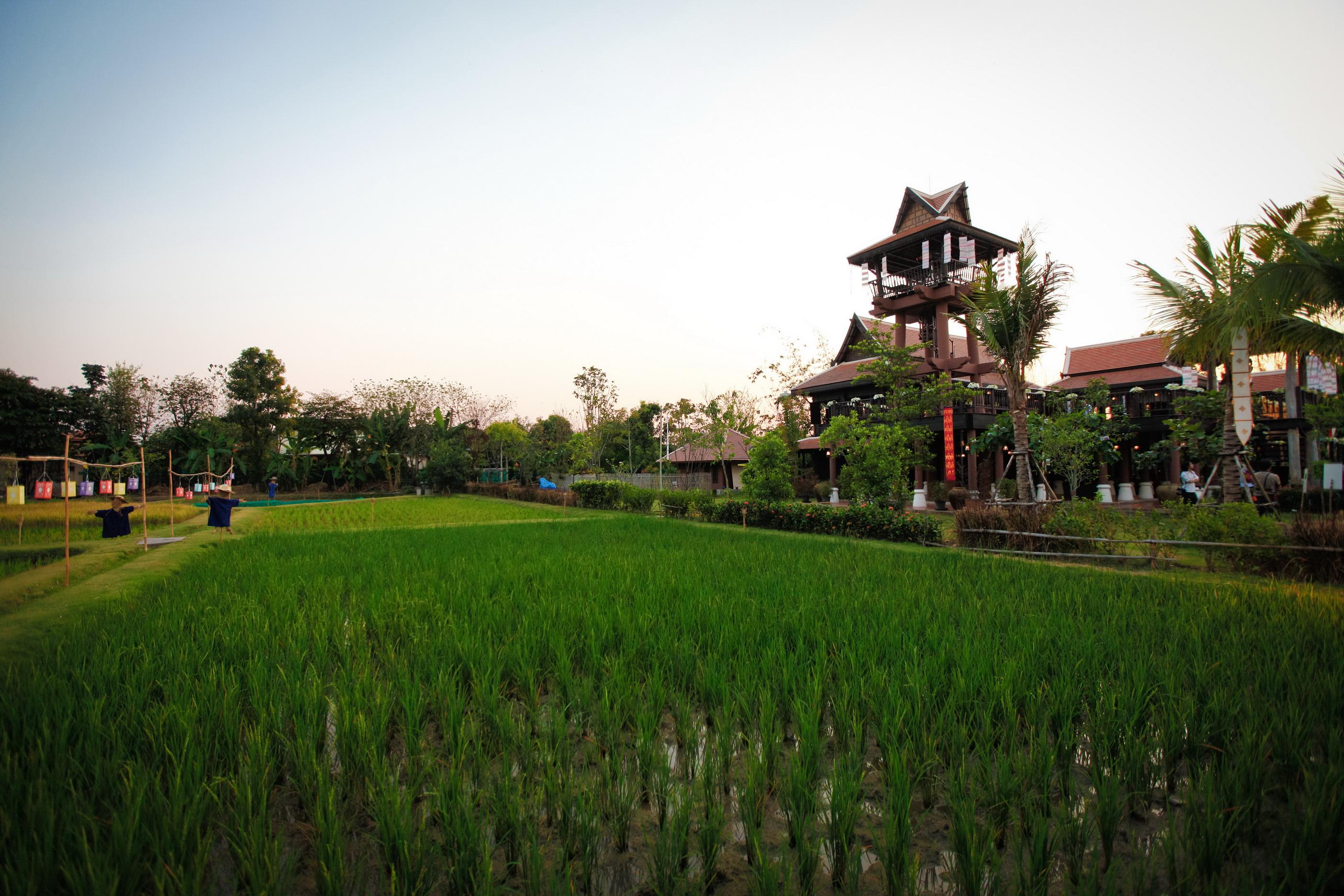 Siripanna Villa Resort & Spa Chiang Mai -Sha Extra Plus Eksteriør billede